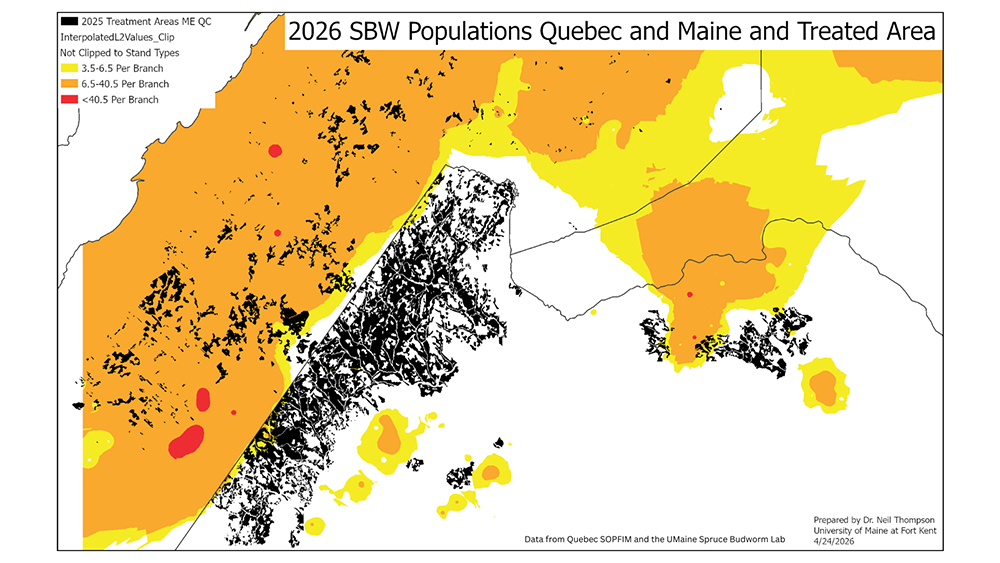 A map displaying the final 2024-2025 forecast of spruce budworm populations for the basis of the 2025 Early Intervention Strategy.